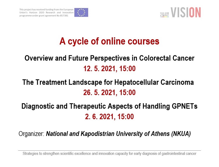 Plagát k podujatiu projektu VISION. Info...