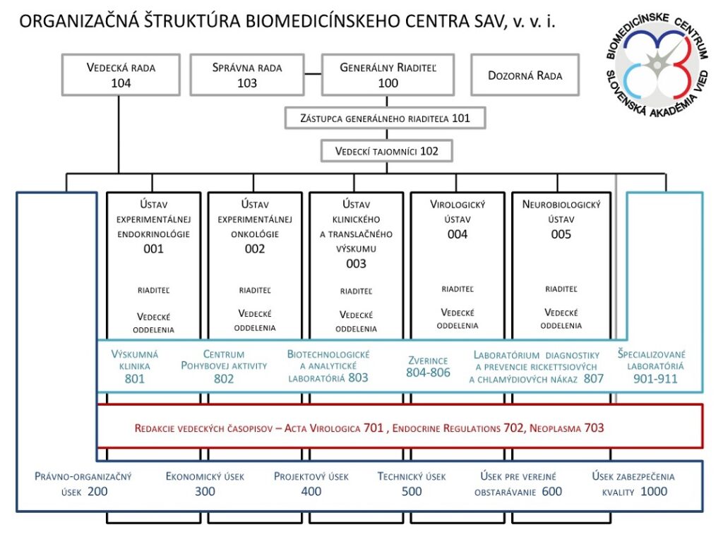 Infografika: Organizačná štruktúra Biomedicínskeho centra SAV, v. v. i.
