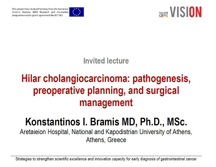 Plagát k podujatiu projektu VISION. Info...