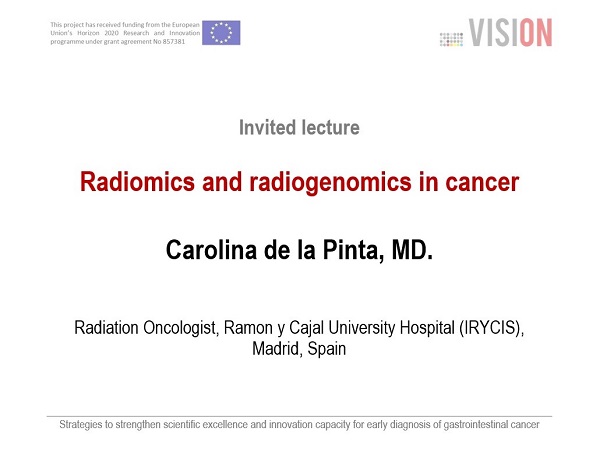 Plagát k podujatiu projektu VISION. Info...