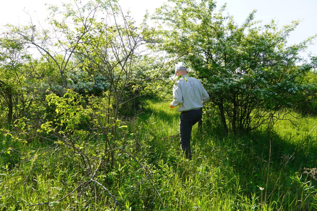 Terénny výskum v okolí Bratislavy v rámc...