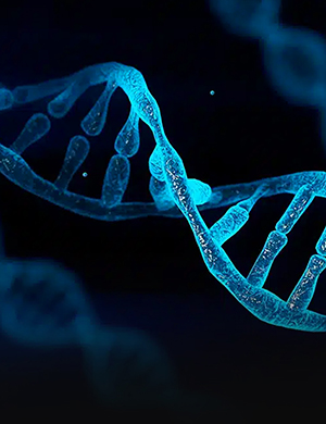 Endocrinology-<br>Metabolism-<br>Genetics-Physiology