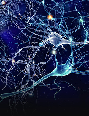 Institute of<br>Neurobiology