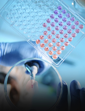 Services for Professionals