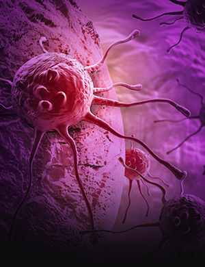 Cancer<br>Research<br>Institute