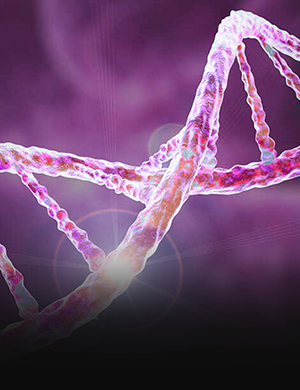 Institute of<br>Clinical<br>and Translational<br>Research