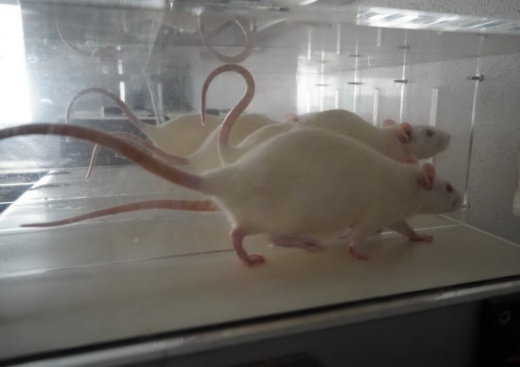 Výskumný tím Traumatické poranenie miechy